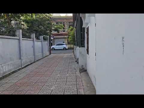 Wandering the Streets | A Calm Daily Vlog #vlog9