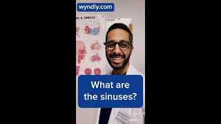 What are the sinuses? #shorts