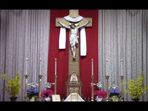 Sunday, May 3, 2020 Mass