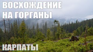 preview picture of video 'Восхождение на Горганы GoPro Карпаты'