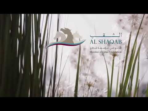 #الاسطورة_غزال_الشقب في معرض للجمال الخيول العربية الاصيلة في بولندا