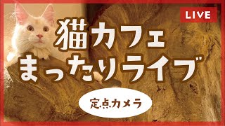 株式会社ねこのてカンパニー(Cat Cafeてまりのおうち)
