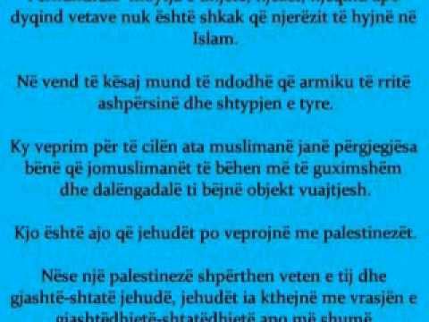 Shejh Uthejmin... Vetëvrasjet nuk janë shehidllëk.