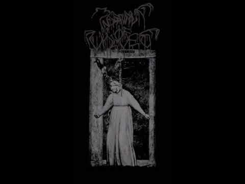Dawn of Wolves- The Serpent Willow