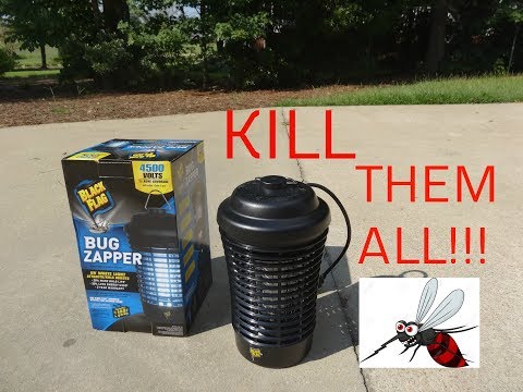Black Flag Bug Zapper