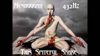 Meshuggah - This Spiteful Snake (432Hz)