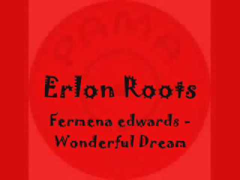 Fermena wonderful drean