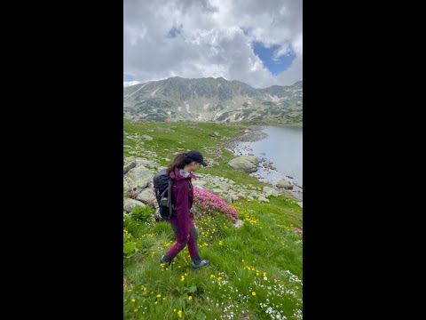 Traseul din Poiana Pelegii spre Lacul Bucura, Munții Retezat #DeasupraMuntilorRomaniei (4K)