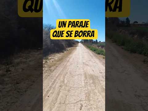 "Timón Cruz: Un rincón detenido en el tiempo 🚲🇦🇷"