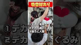 【音質改善】超身近なものを吸音材にしてみた #歌ってみた #部屋鳴り #録音 #吸音材 #音質改善