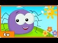 Incy Wincy Spider Itsy Bitsy Spider More Popular Nursery Rhymes By Hooplakidz TV