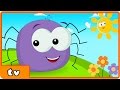 Itsy Bitsy Spider | Incy Wincy Spider | Plus Lots More ...