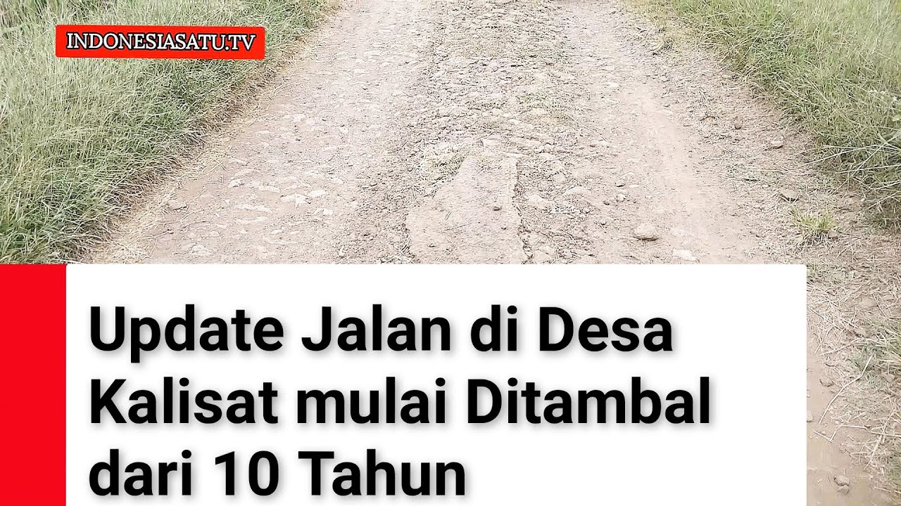 Update Jalan Kalisat di Tambal Tanah