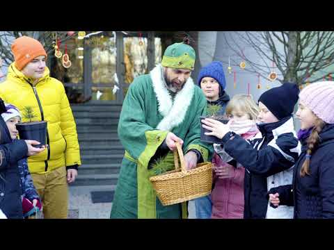 Evergreen story. Tizer