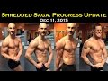 Shredded Saga - Progress Update Dec 11 2015