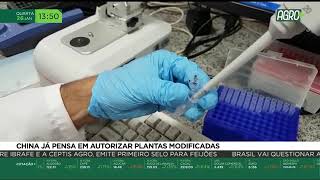 Miniatura do vídeo