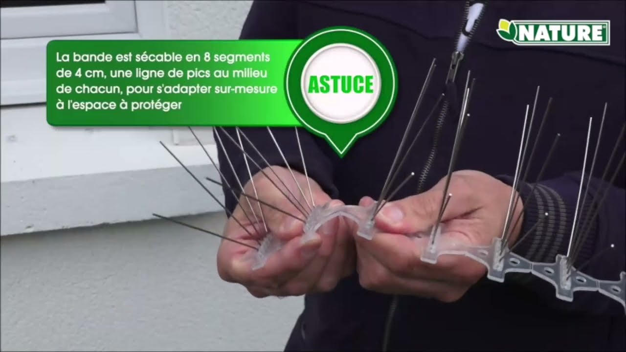 Bande de pics métalliques anti-oiseaux