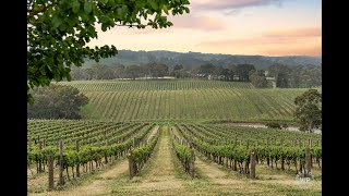 Video overview for 127 Quinns Road, FORRESTON  SA  5233