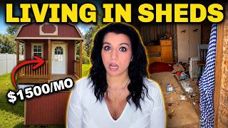 Rent Is So Expensive People Are Turning Sheds Into Homes