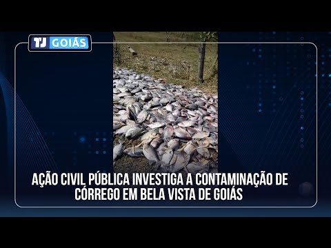 DECISÃO JUDICIAL COBRA MEDIDAS PARA COMBATER POLUIÇÃO NO CÓRREGO SUSSUAPARA EM BELA VISTA DE GOIÁS