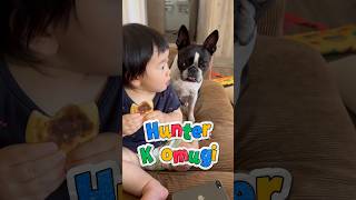 Hunter Komugi🐶 【こむこまつり】  #shorts