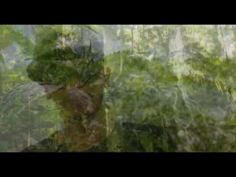 พญาพืช - KidzBoss Feat. BlackNud,Don g,(Rastafah)