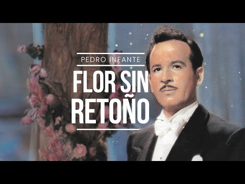 Pedro Infante - Flor Sin Retoño (Video con Letra)