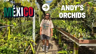 A Weekend in Tijuana and Plant Shopping in San Diego