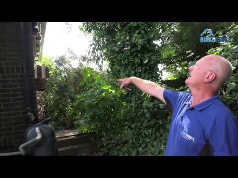 Gevel van woning inspecteren op scheuren en andere bouwkundige gebreken