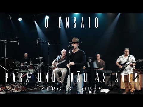 Para onde vão as aves - O ENSAIO - Sergio Lopes