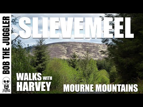 Walks with Harvey - Mourne Mountains, Slievemeel
