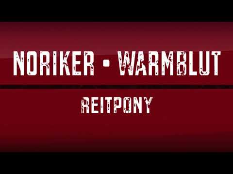 Hengstschau Trailer 2020