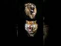 Lion Vs Tiger Scariest Roar! #animalfacts #facts
