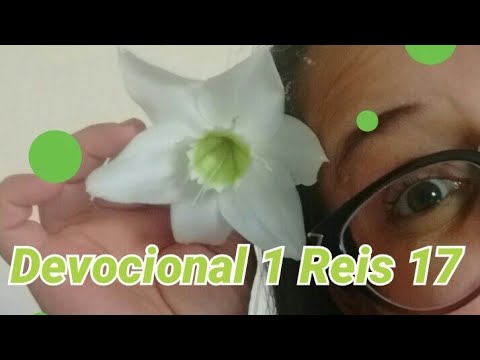 1 Kings 17 - Devotional