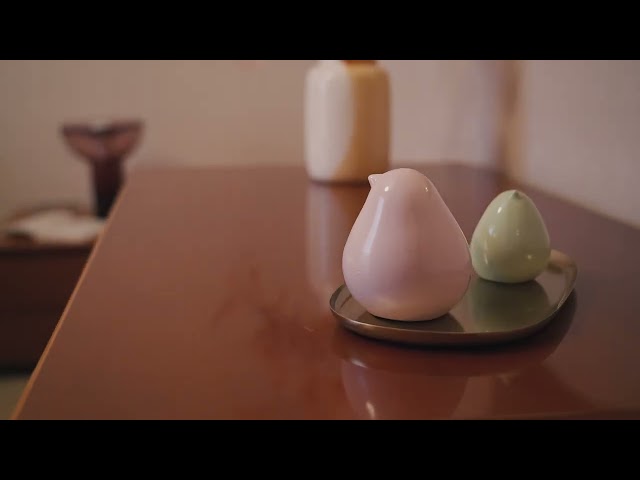 APPARTAMENTO PANORAMICO FRONTE MARE IN MACCHITELLA