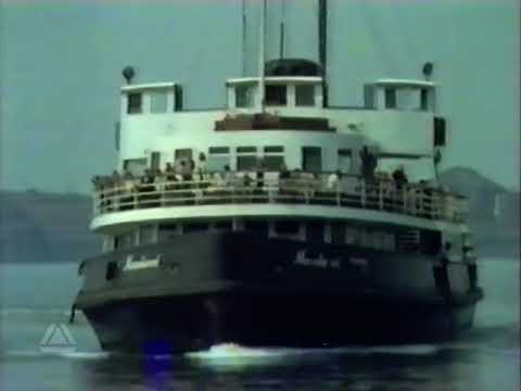 BBC1 Continuity - 24th July 1981