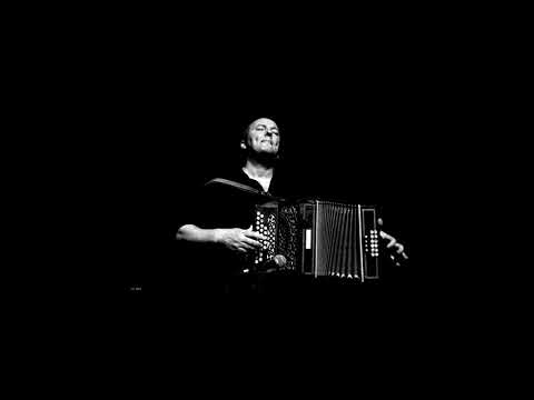 Fred Guichen - Les Abeilles ( Official Vidéo)- Accordéon Diatonique