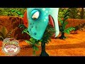 Herbivore Dinosaurs Dinosaur Train