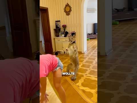 Er ist ausgerutscht… 💀 #shorts