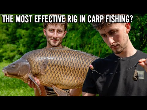 HOW TO TIE THE COMBI-MULTI SLIP D RIG - The Most Effective Rig in Carp Fishing - Flanx Tackle Bundle