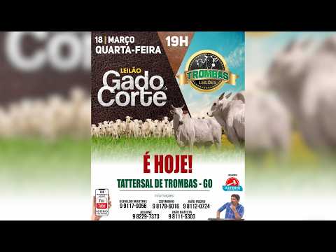 LEILÃO DE GADO DE CORTE TROMBAS LEILÕES - TROMBAS GOIAS  - 18 / 03 / 2026