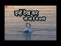 Ye Reshmi Zulfein Old Song Whatsapp Status Video Status Video