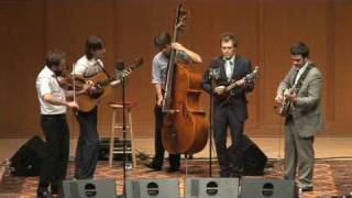 Punch Brothers: The Bee Keeper