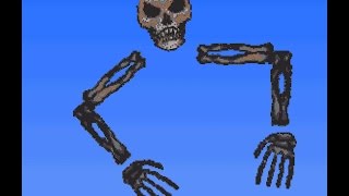 Spooky Looking Skull (Terraria Skeletron Boss)