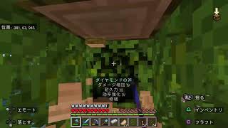 ［マイクラ］＃27 やっていく　参加は仲良い方か、X相互の方なら誰でも　コメント気軽にどうぞ～