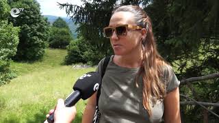 Вандали посегнаха пак на Горски парк "Амзово" край Смолян