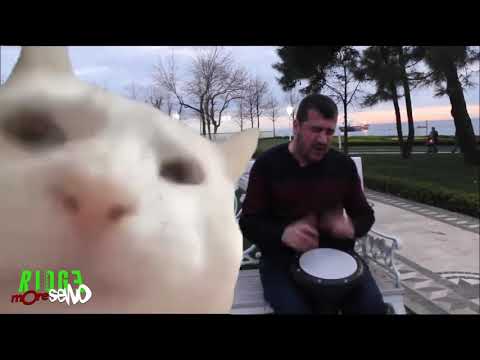 Ridgy Up Friday Episode 12