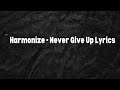 Harmonize - Never Give Up (Lyrics Video)