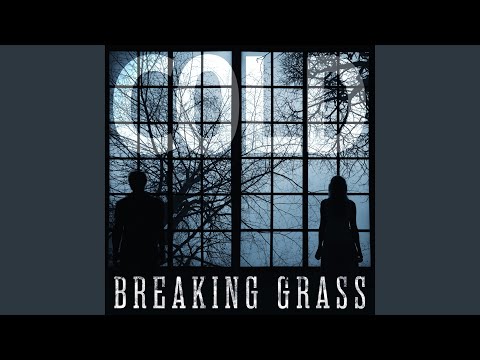 The Truth - Breaking Grass