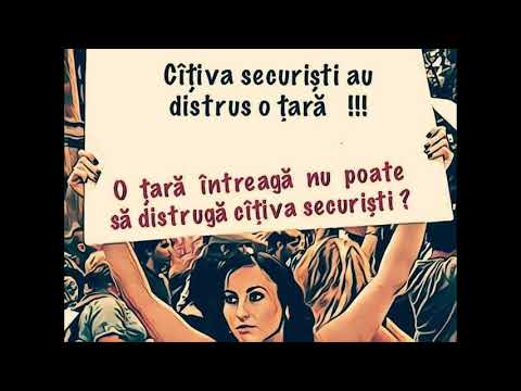 DANI PRINTUL BANATULUI - ADEVARATII INFRACTORI 2019